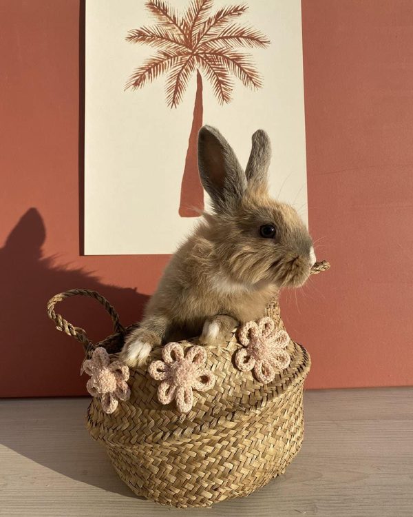 Handmade Daisy Basket