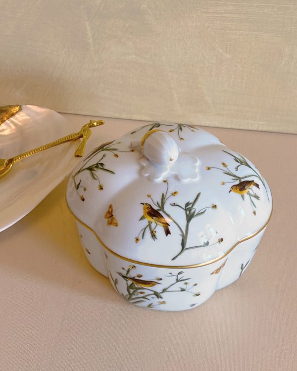 Vintage Rosenthal Classic Rose Porcelain Bird Butterfly Box