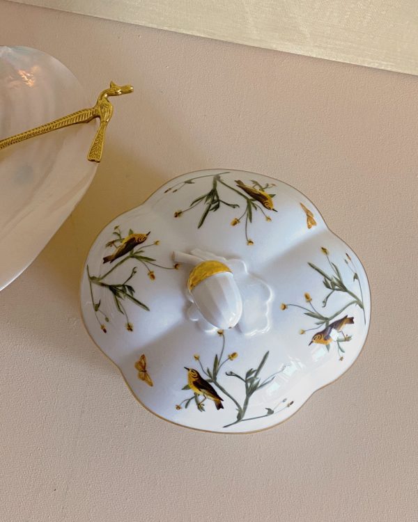 Vintage Rosenthal Classic Rose Porcelain Bird Butterfly Box