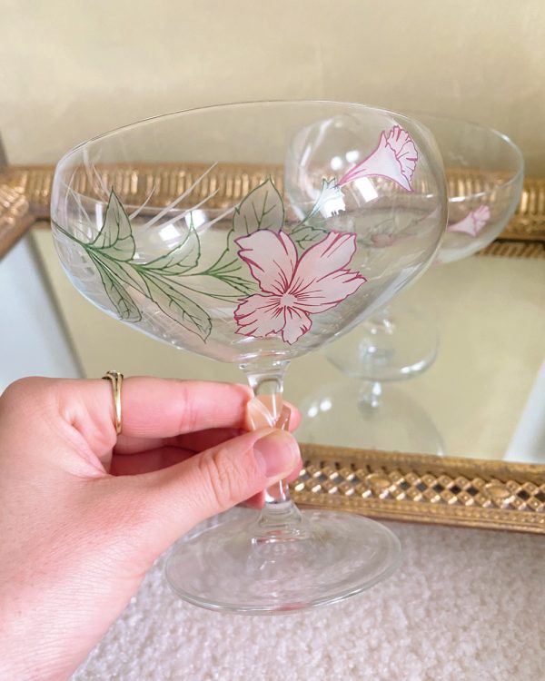 Vintage Hand Painted Pink Flower Coupe Glass Set of 2