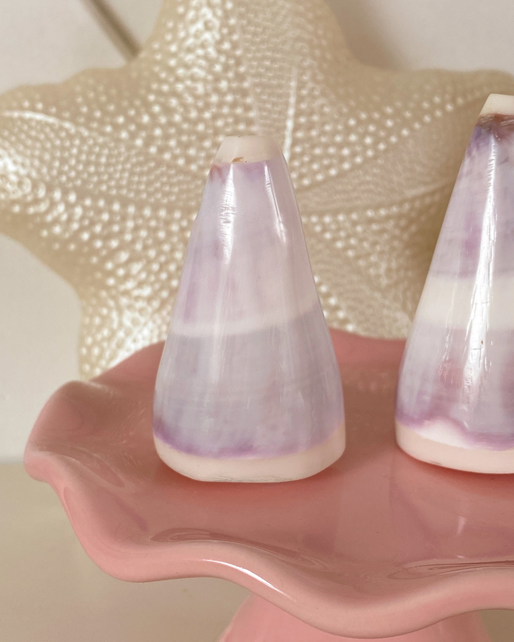 Natural Shell Salt Pepper Shaker Set