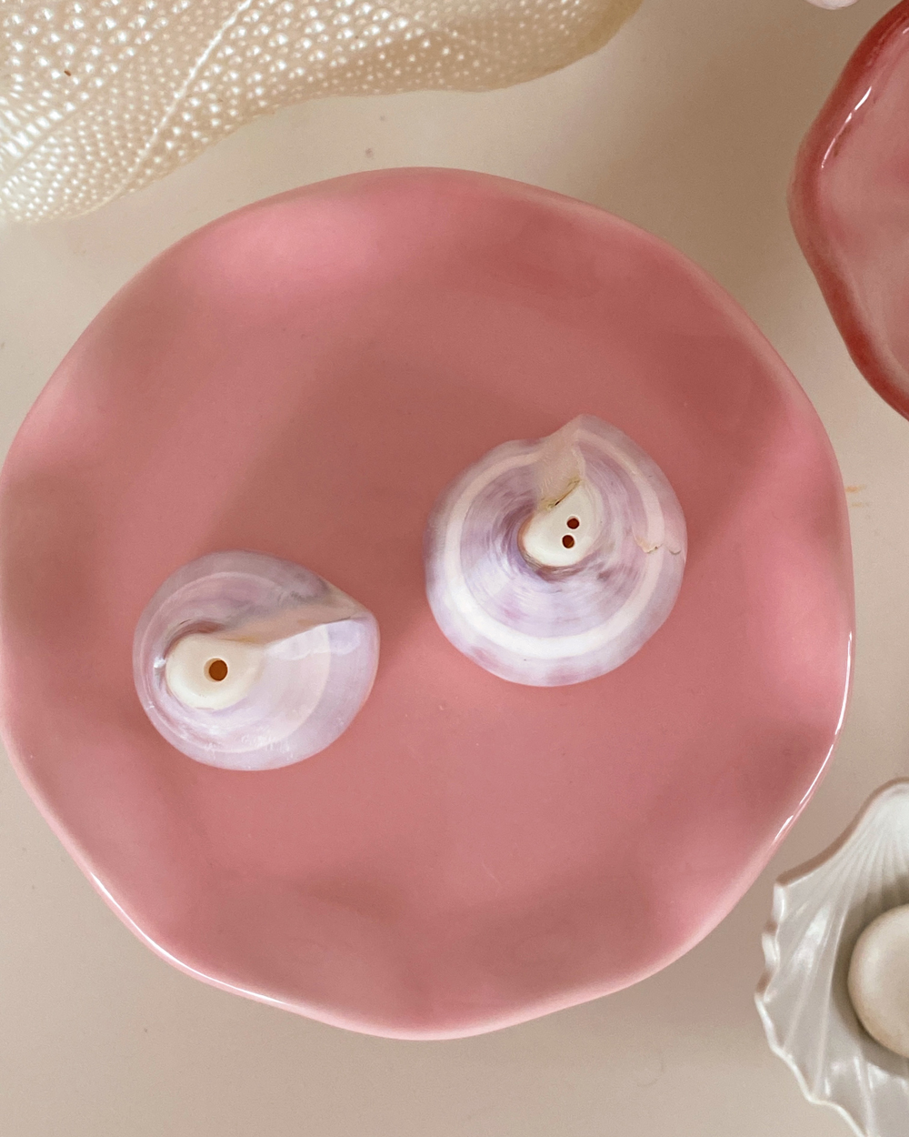 Natural Shell Salt Pepper Shaker Set