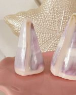 Natural Shell Salt Pepper Shaker Set