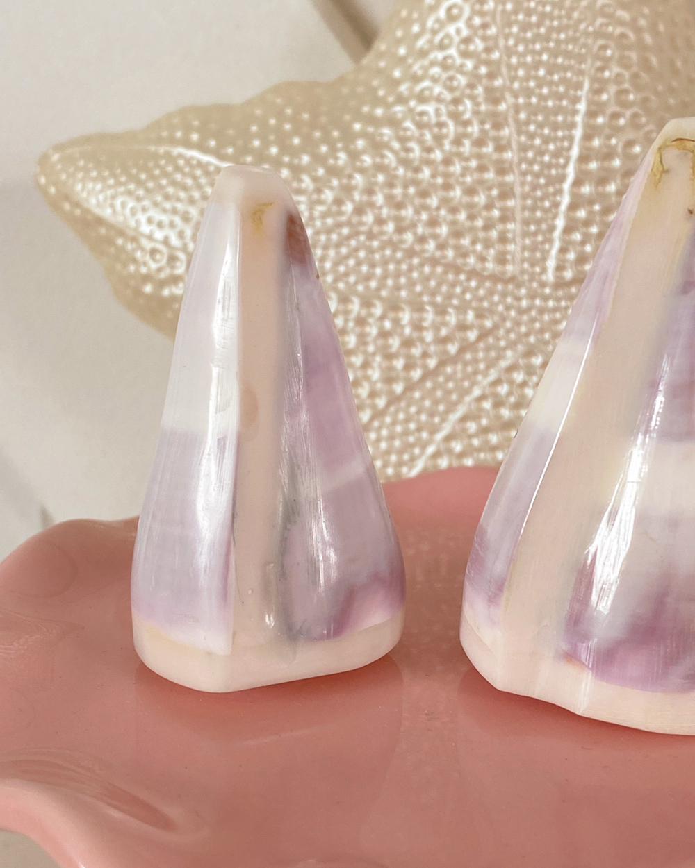Natural Shell Salt Pepper Shaker Set