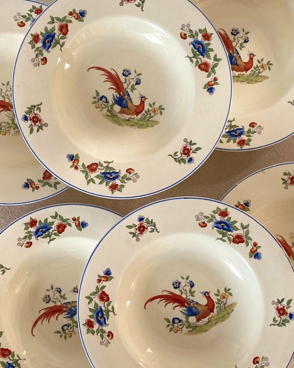 Vintage Hanley Newhall Staff England Bird of Paradise Dinner Plate Set of 6