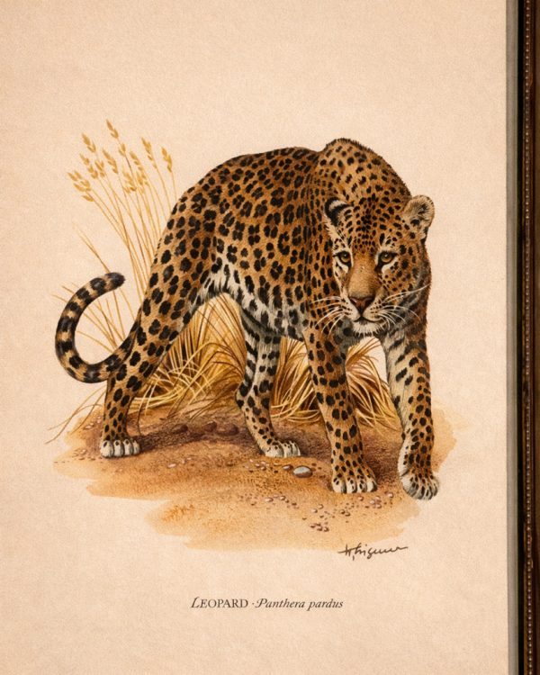 brass-glass-hanging-photo-frame-vintage-leopard-print-4