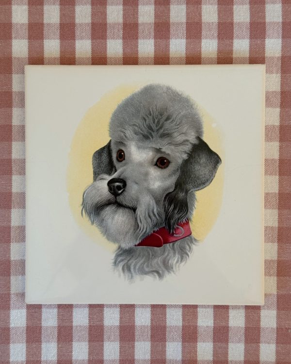 Vintage French Poodle Ceramic Wall Tile