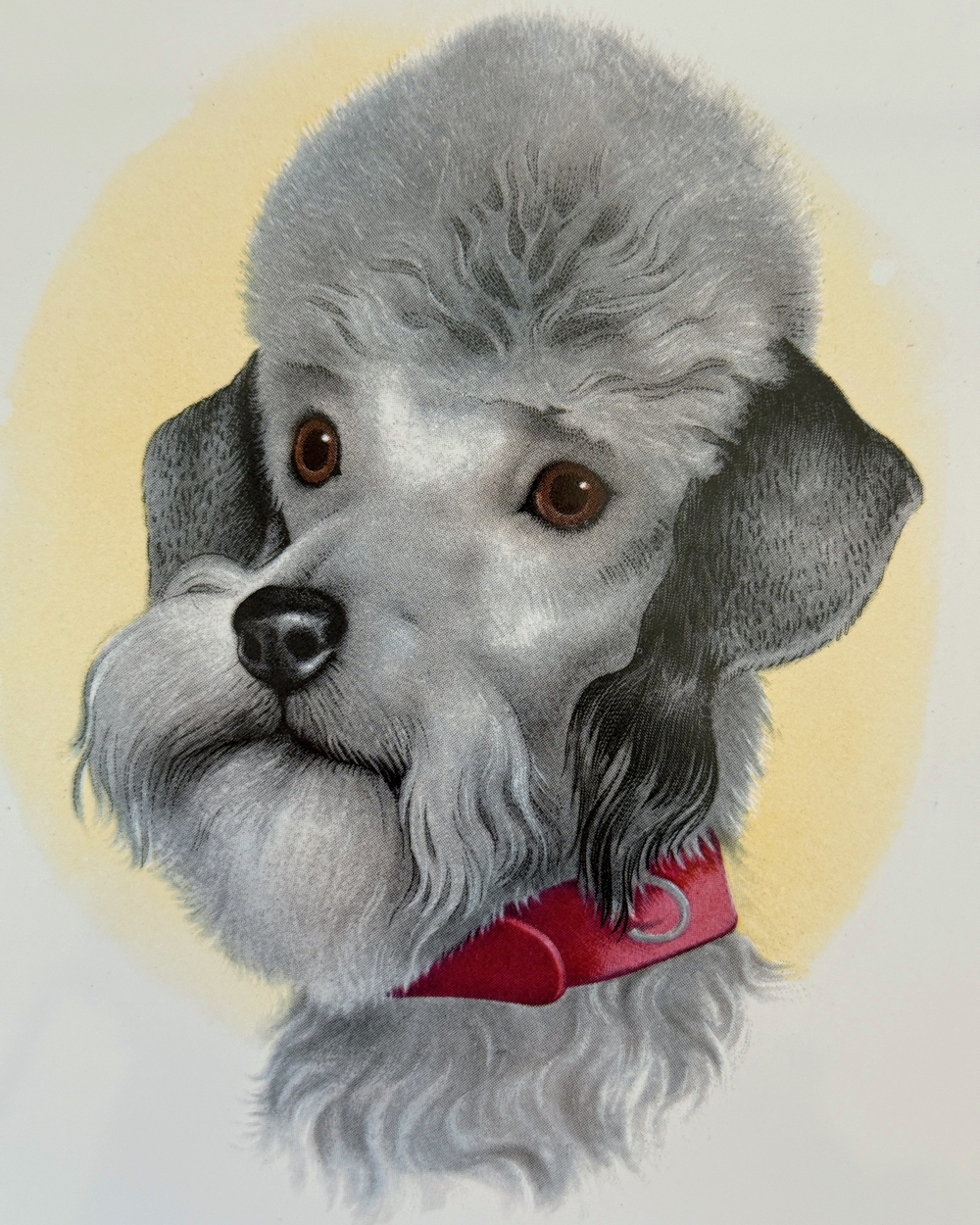Vintage French Poodle Ceramic Wall Tile