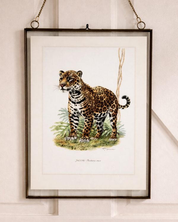 Brass Glass Hanging Photo Frame with Vintage Jaguar Print