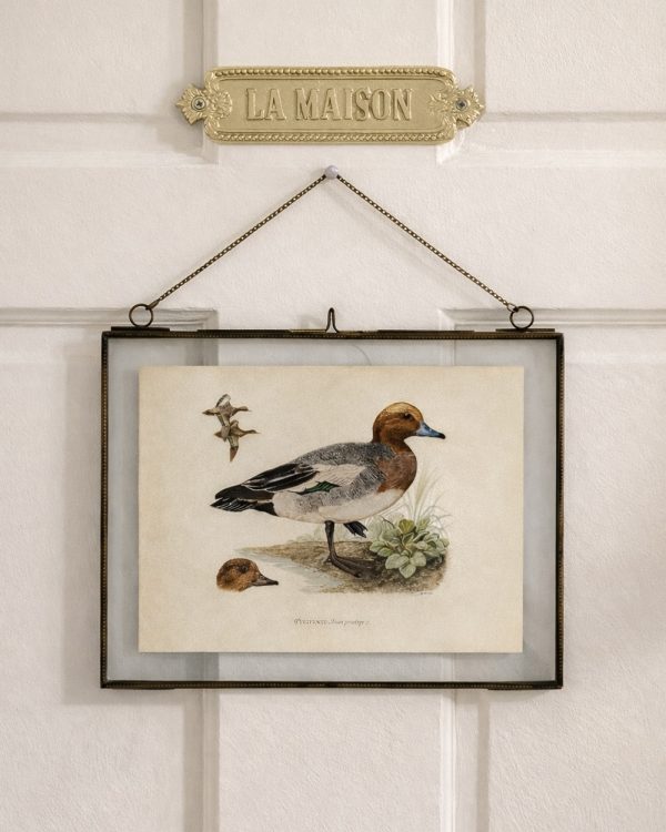 Brass Glass Hanging Photo Frame with Vintage Whistling Duck Print
