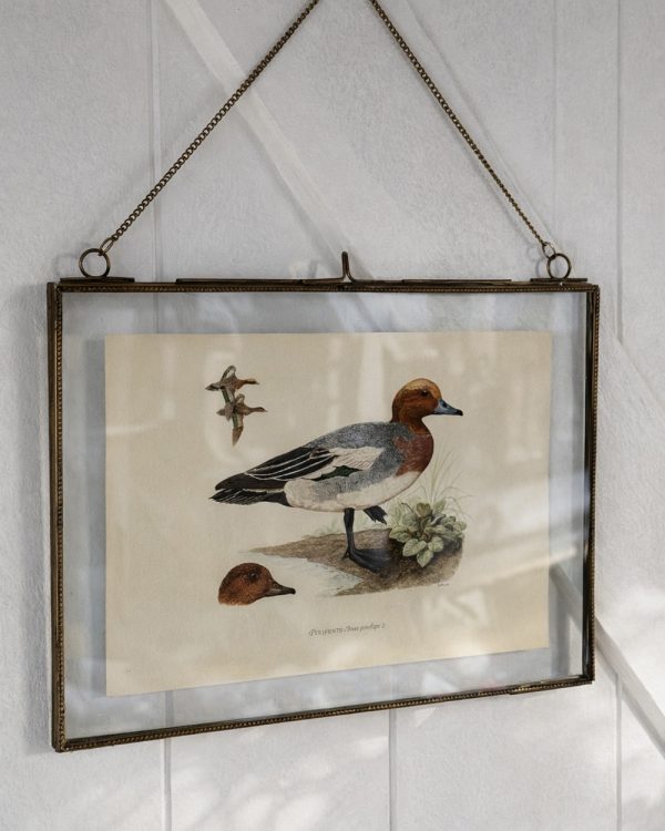 brass-glass-hanging-photo-frame-vintage-whistling-duck-print-4