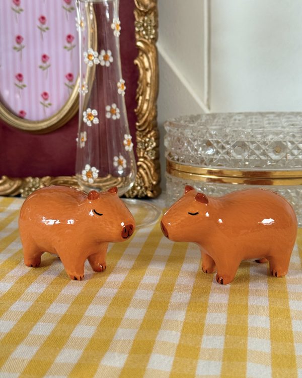 Capybara Salt Pepper Shaker Set