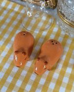 Capybara Salt Pepper Shaker Set