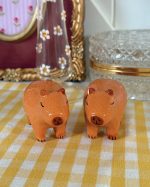 Capybara Salt Pepper Shaker Set