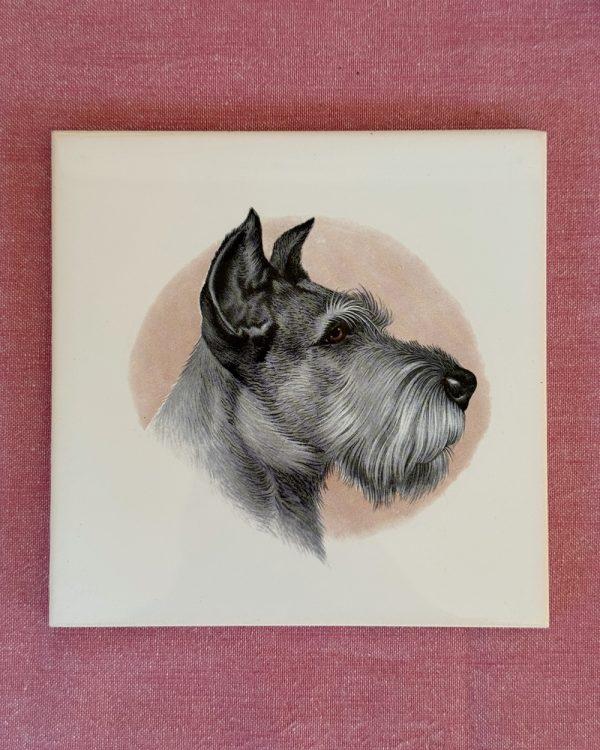 Vintage Schnauzer Ceramic Wall Tile