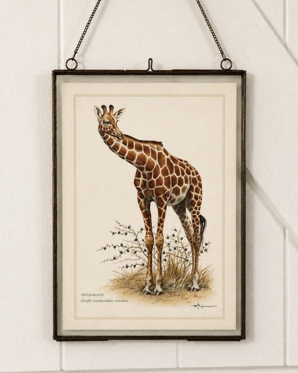 Brass Glass Hanging Photo Frame with Vintage Giraffe Print