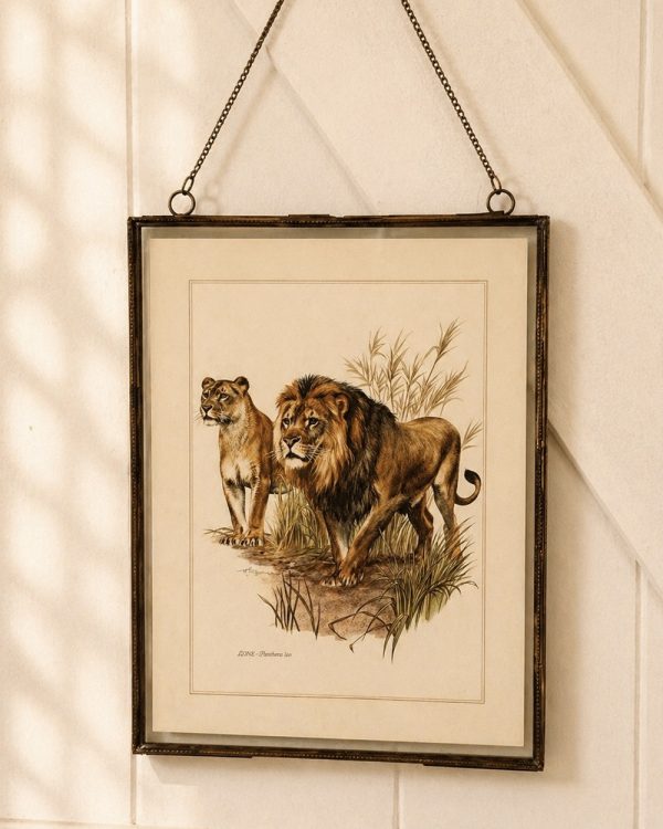 Brass Glass Hanging Photo Frame with Vintage Lions Print