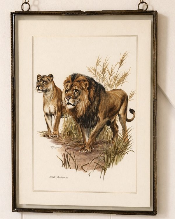 brass-glass-hanging-photo-frame-with-vintage-lions-print-6