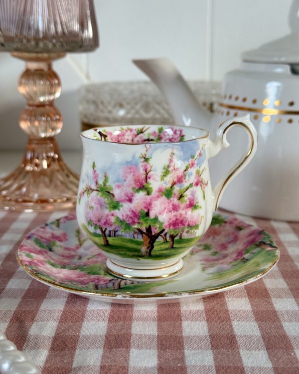 Vintage Blossom Time Cup Saucer Set