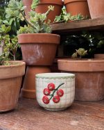 Tomato Planter