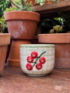 Tomato Planter