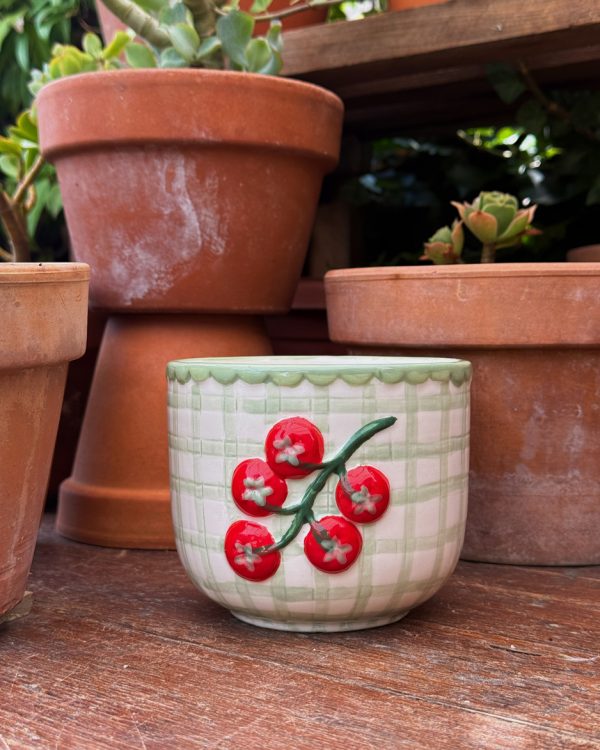 Tomato Planter